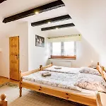 Agrozacisze *