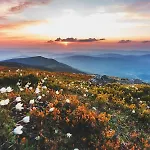 팜스테이 Agrozacisze Zubrzyca Gorna