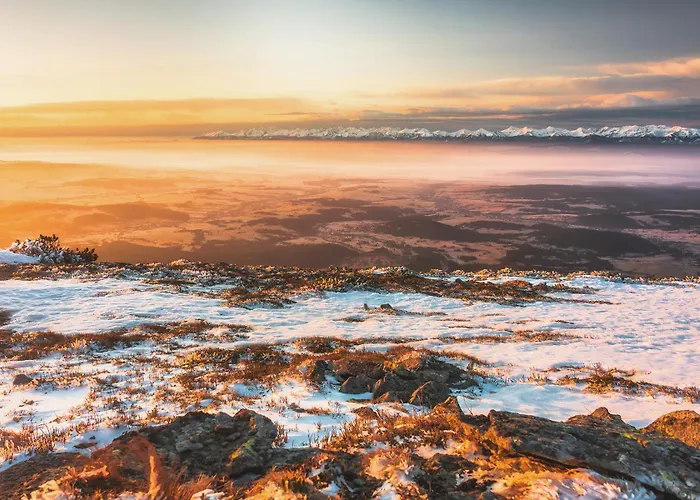 Agrozacisze Zubrzyca Gorna