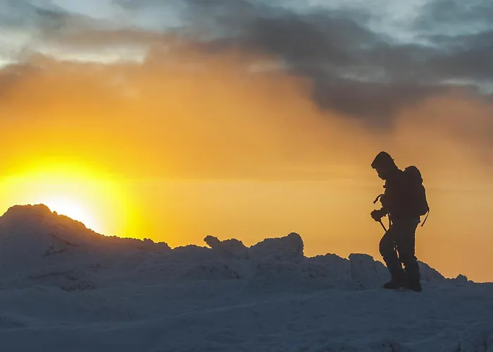 Lantgård Agrozacisze *