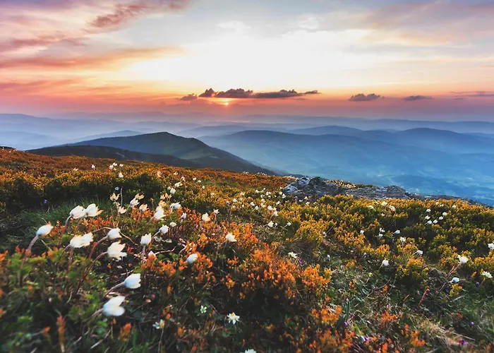 Lantgård Agrozacisze Zubrzyca Gorna